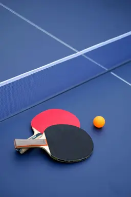 Table tennis (乒乓球)